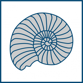 Pictograph of an ammonite